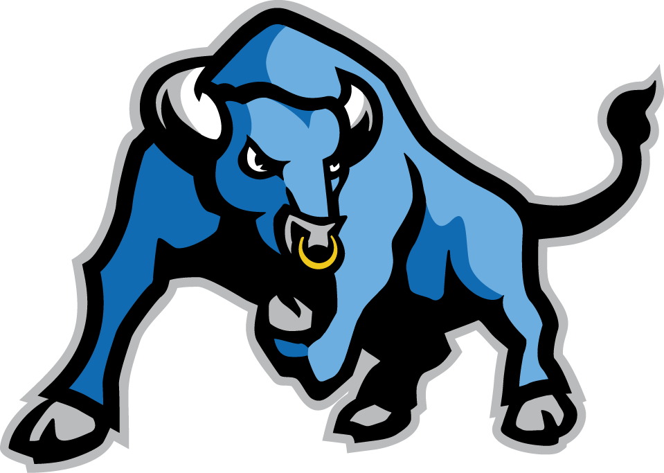 Buffalo Bulls 2007-Pres Alternate Logo t shirts DIY iron ons